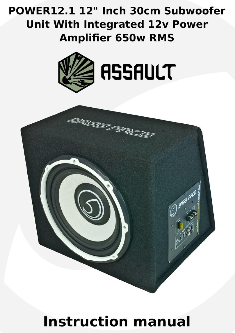 Assault Bassface instruction manual