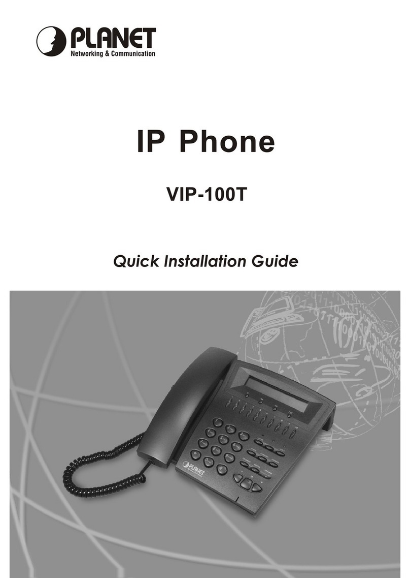 Planet VIP-100T User manual
