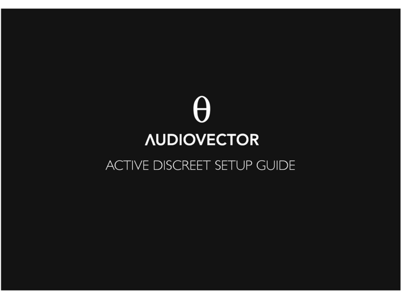 AUDIOVECTOR ACTIVE DISCREET Setup guide