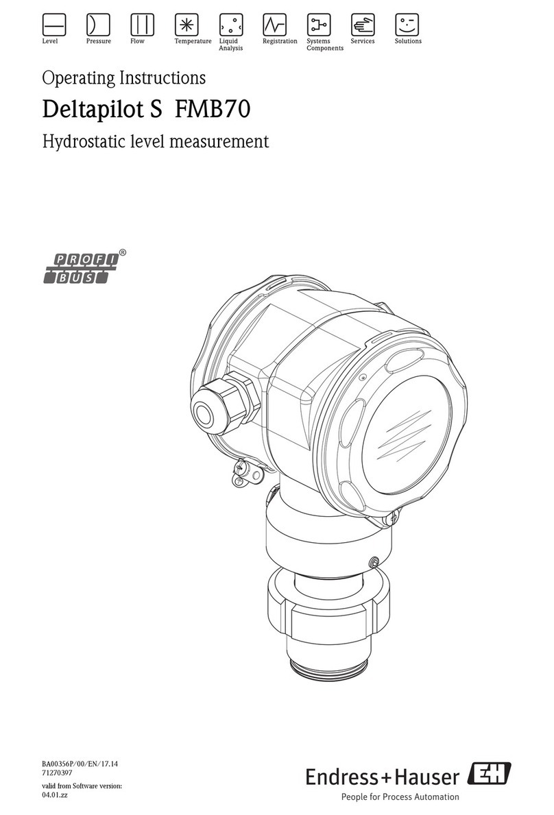 Endress+Hauser Deltapilot S FMB70 User manual