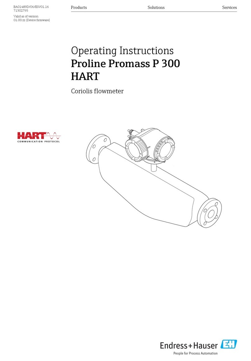HART Proline Promass P 300 operating instructions