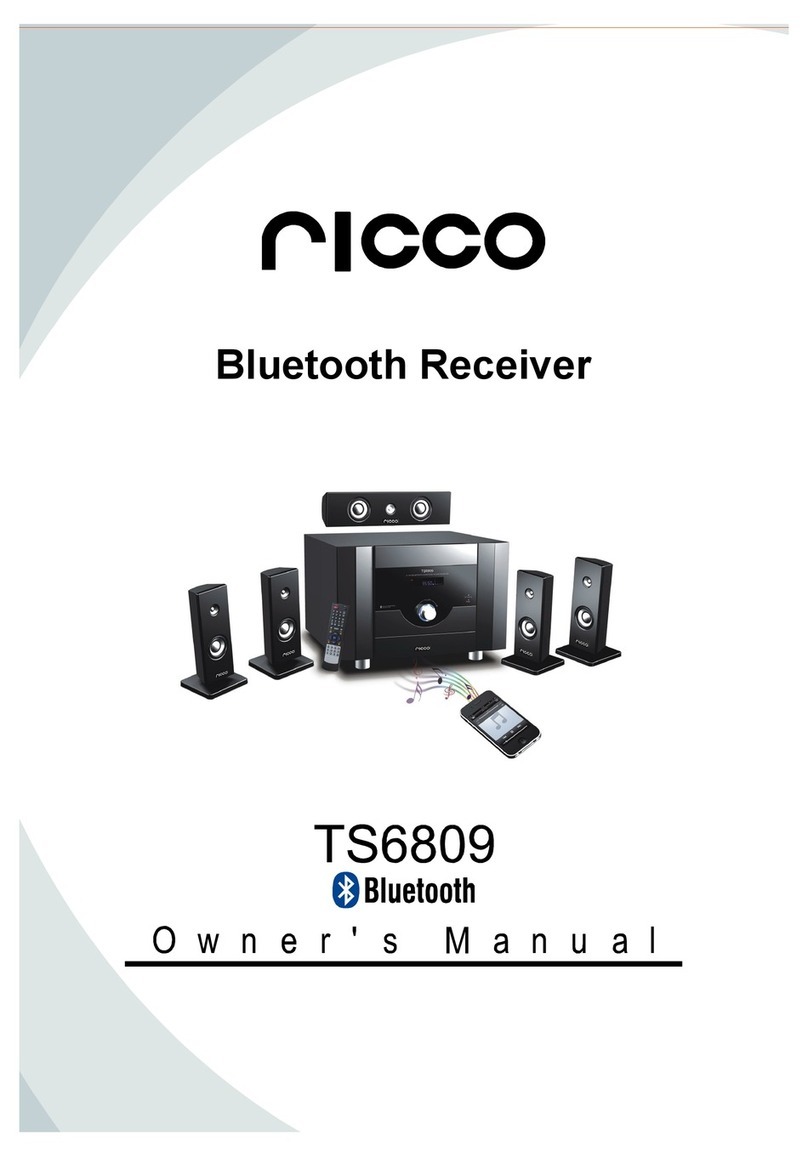 Ricco TS6809 User manual