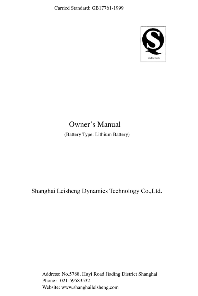 Shanghai Leisheng Dynamics VIVANA owner's manual