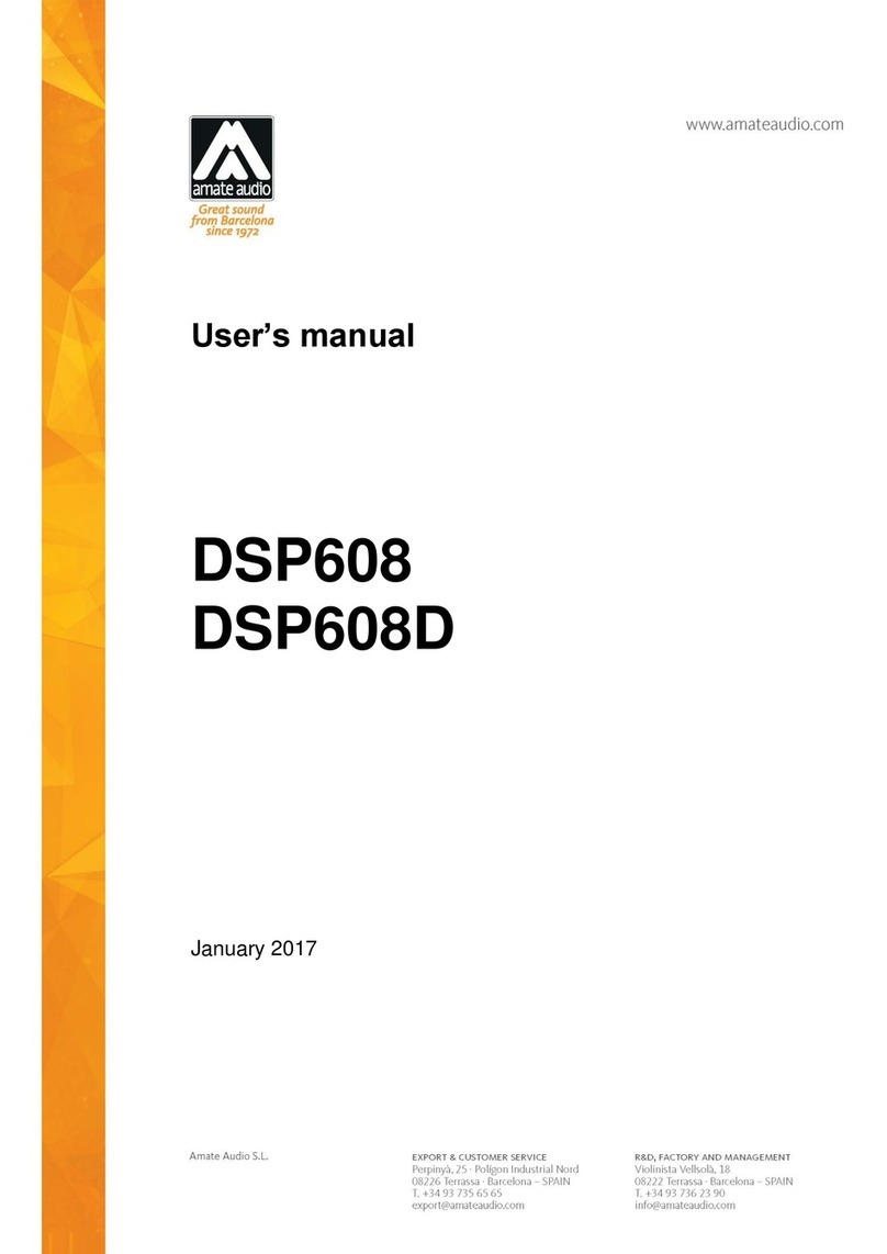 Amate Audio DSP608 User manual
