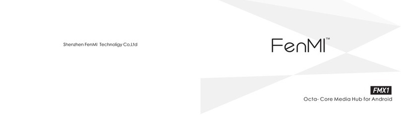 FenMI FMX1 User manual