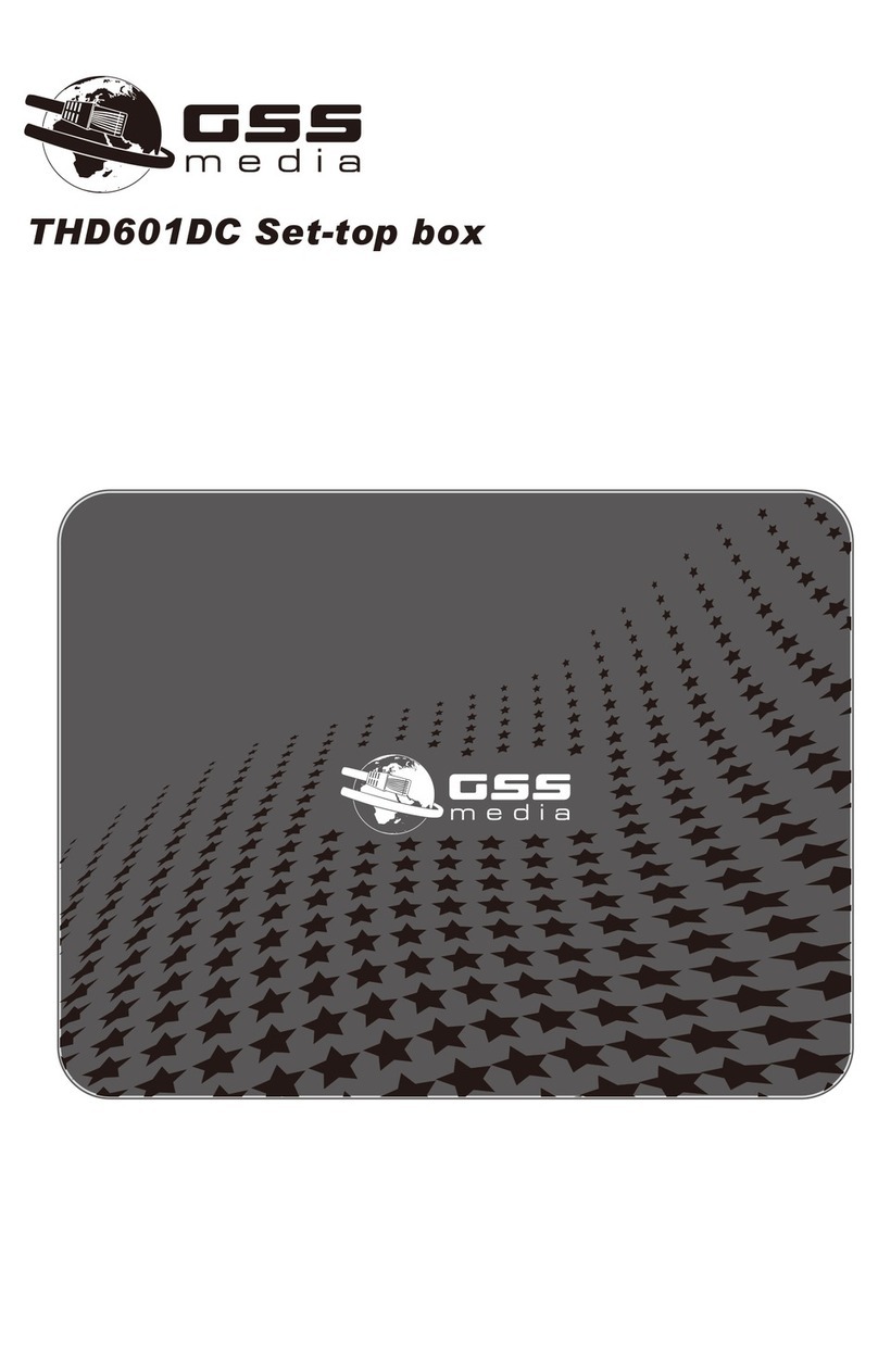 GSS THD601DC user manual