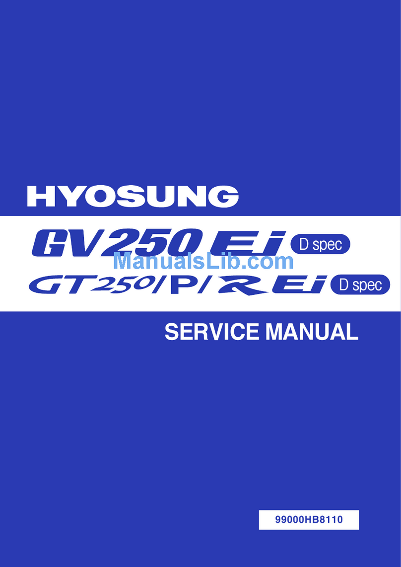 HYOSUNG Aquila GT250 Ej User manual