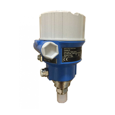 Endress+Hauser Cerabar M User manual