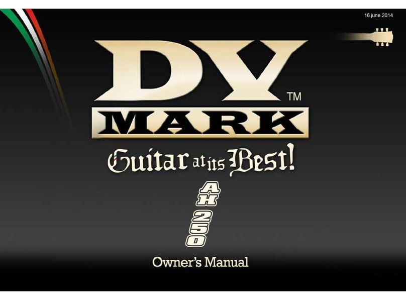 DV Mark DV AC 101 combo owner's manual
