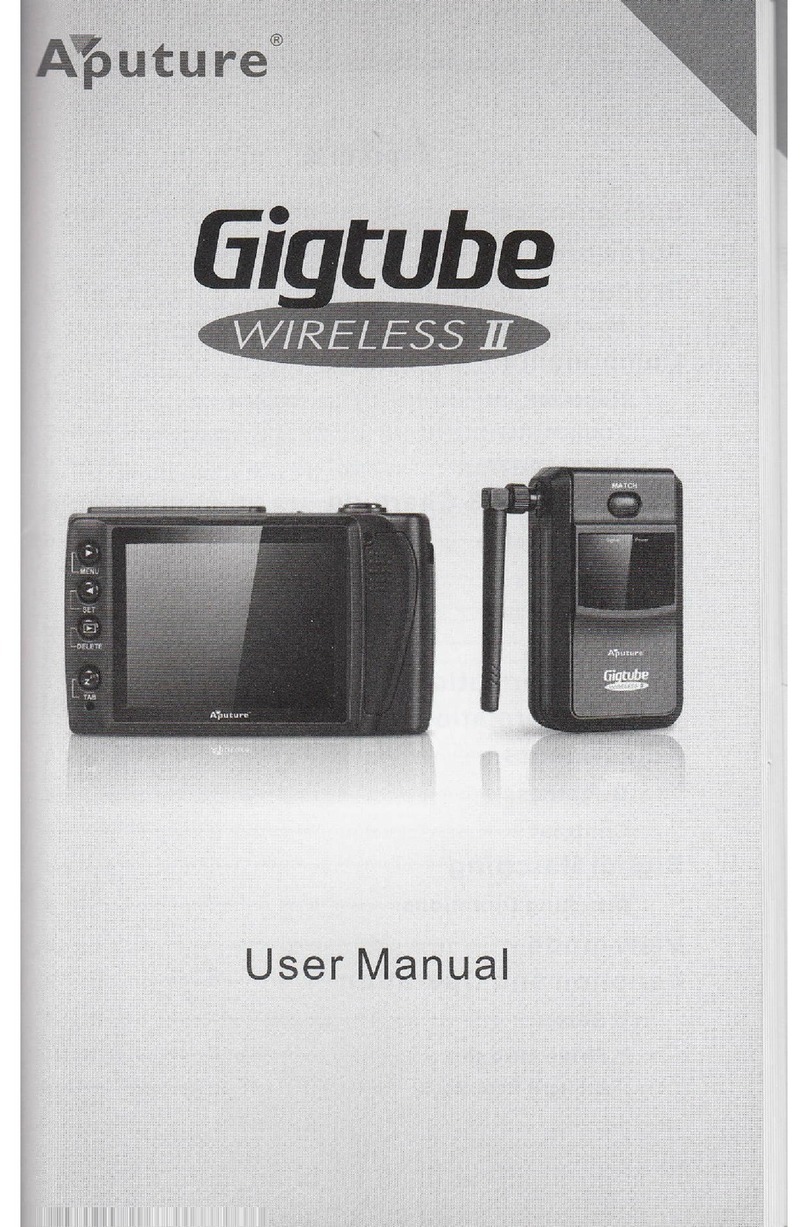 Aputure Gigtube Wireless II user manual