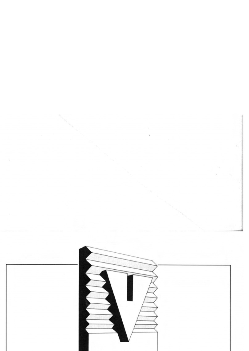 Bowers & Wilkins DS3 Guidelines