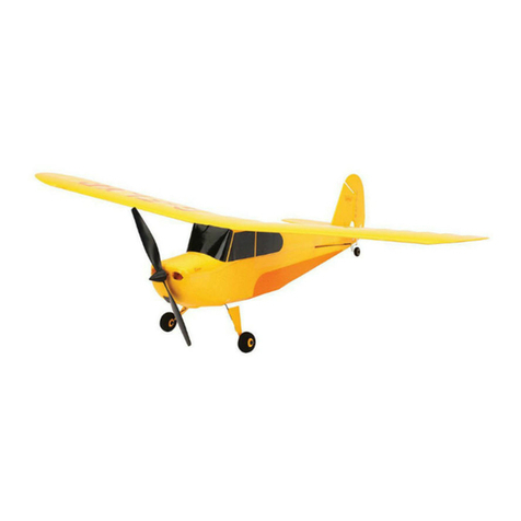HobbyZone Champ User manual