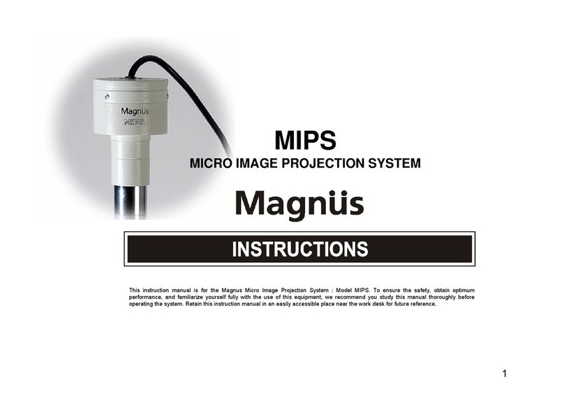 Magnus MIPS instructions