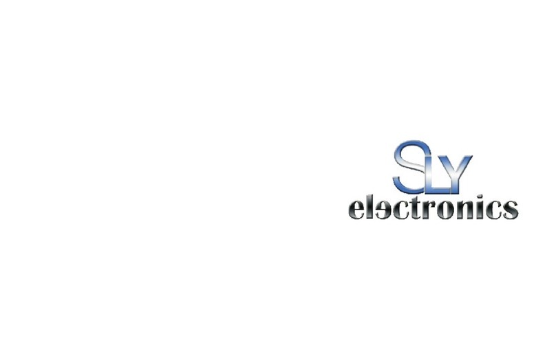Sly Electronics MP3 Player user guide