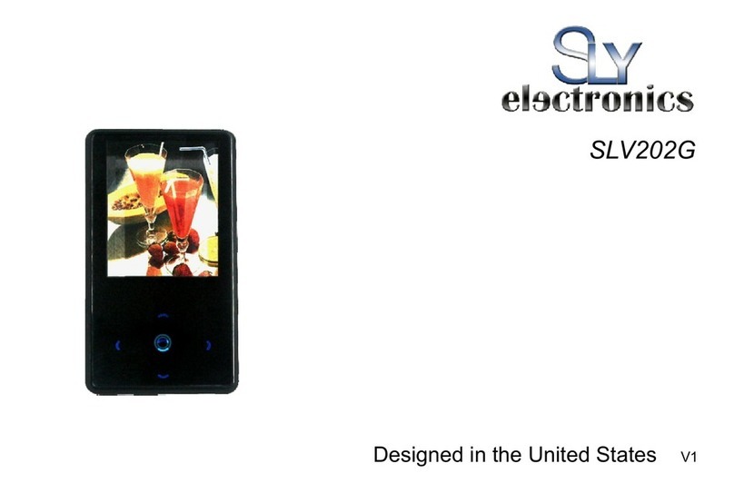 Sly Electronics SLV202G user guide