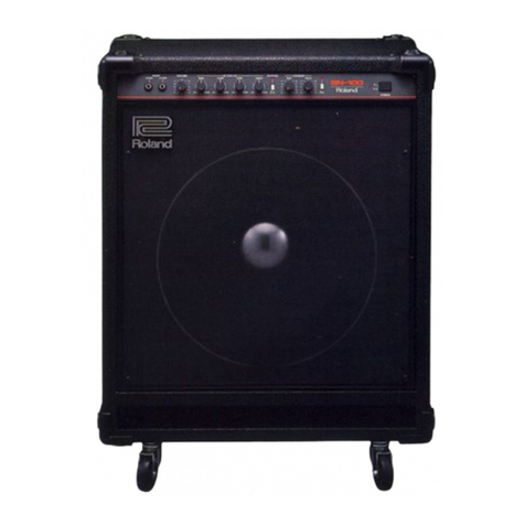 Roland Bass Note BN-60 User manual