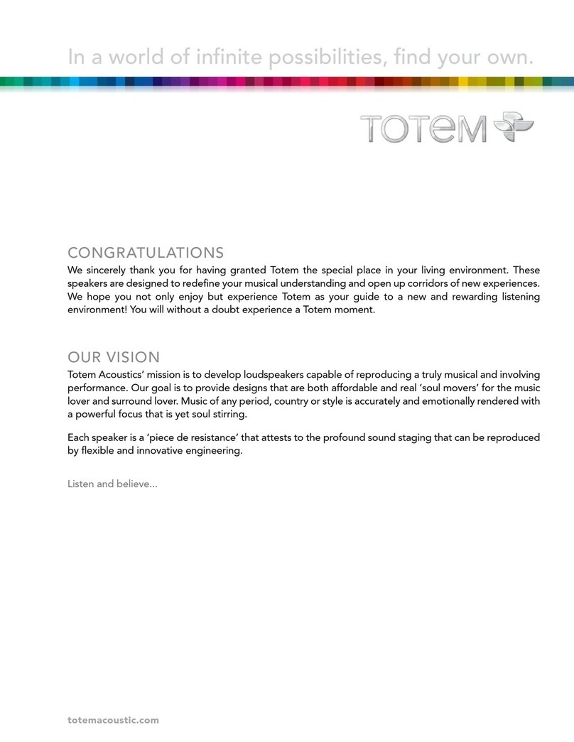 Totem TRIBE IN-WALL SUBWOOFER DOUBLE 8 user guide