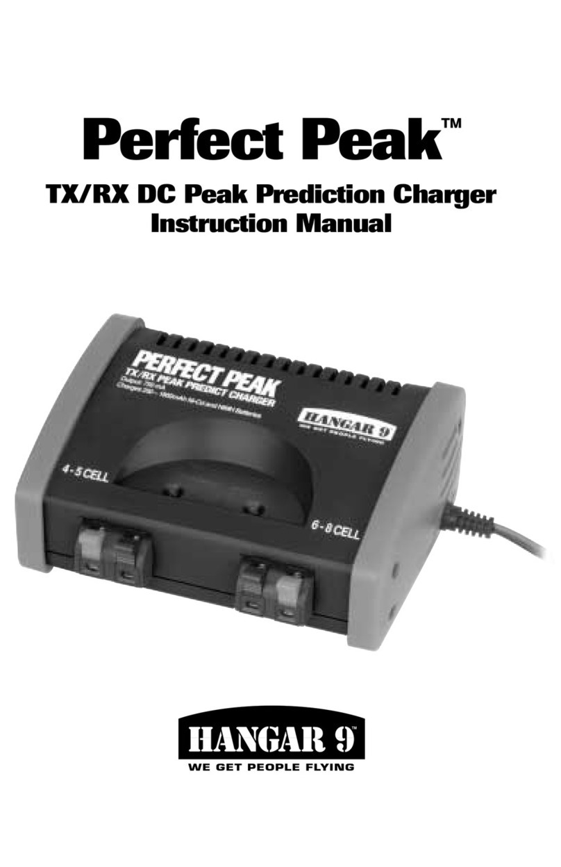 Hangar 9 Perfect Peak instruction manual