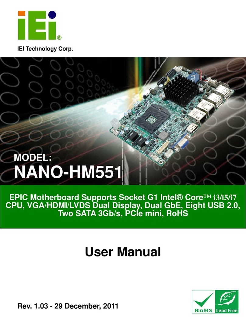 IEI Technology NANO-HM551 User manual