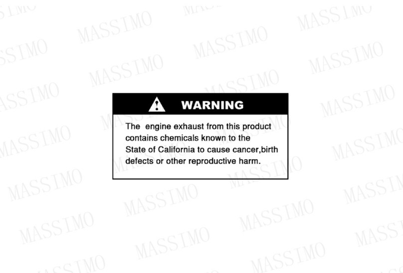 Massimo Motor 800UTV-EC user manual