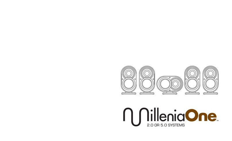 Paradigm MilleniaOne User manual