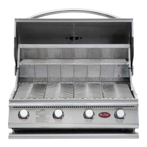 Calflame G4 2008 User manual