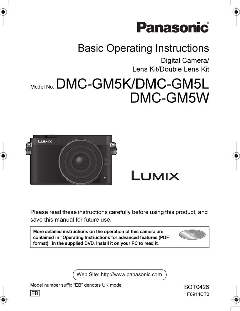 Panasonic LUMIX DMC-GM5K Technical specifications