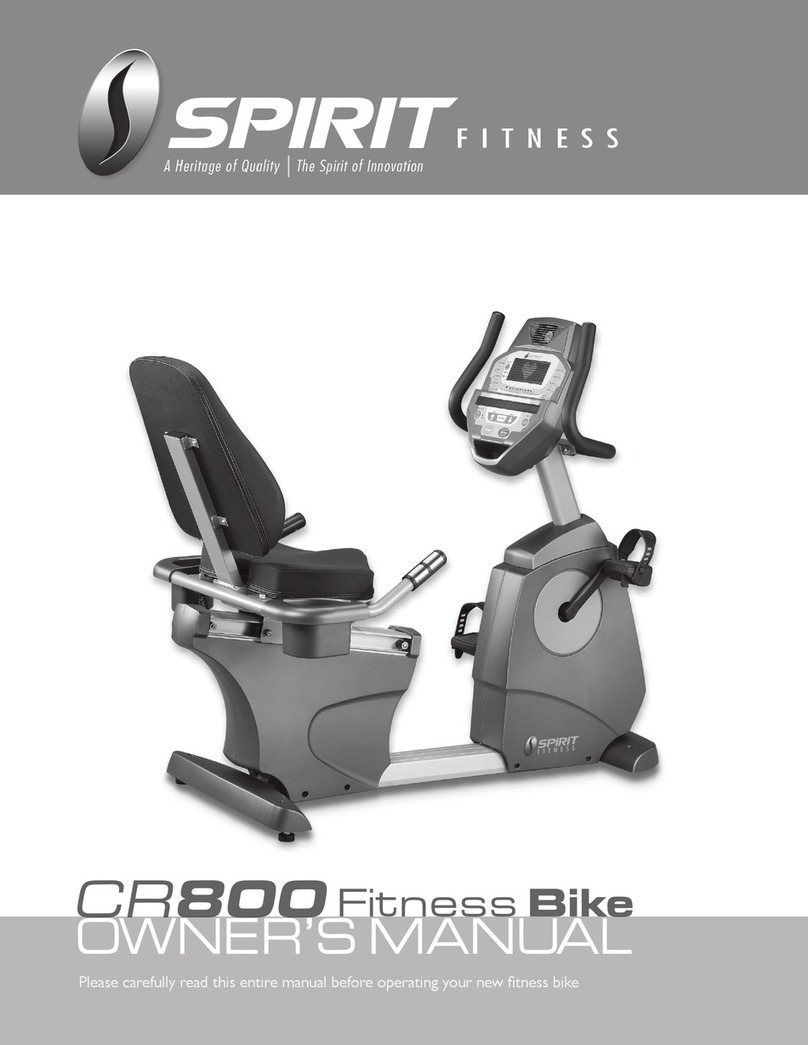 Spirit Fires CR800 owner's manual