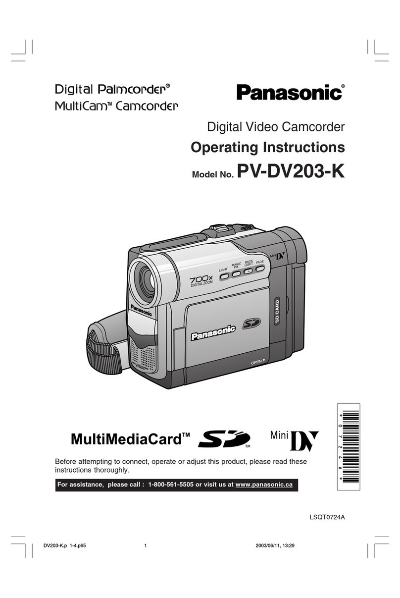 Panasonic Digital Palmcorder MultiCam PV-DV203-K User manual