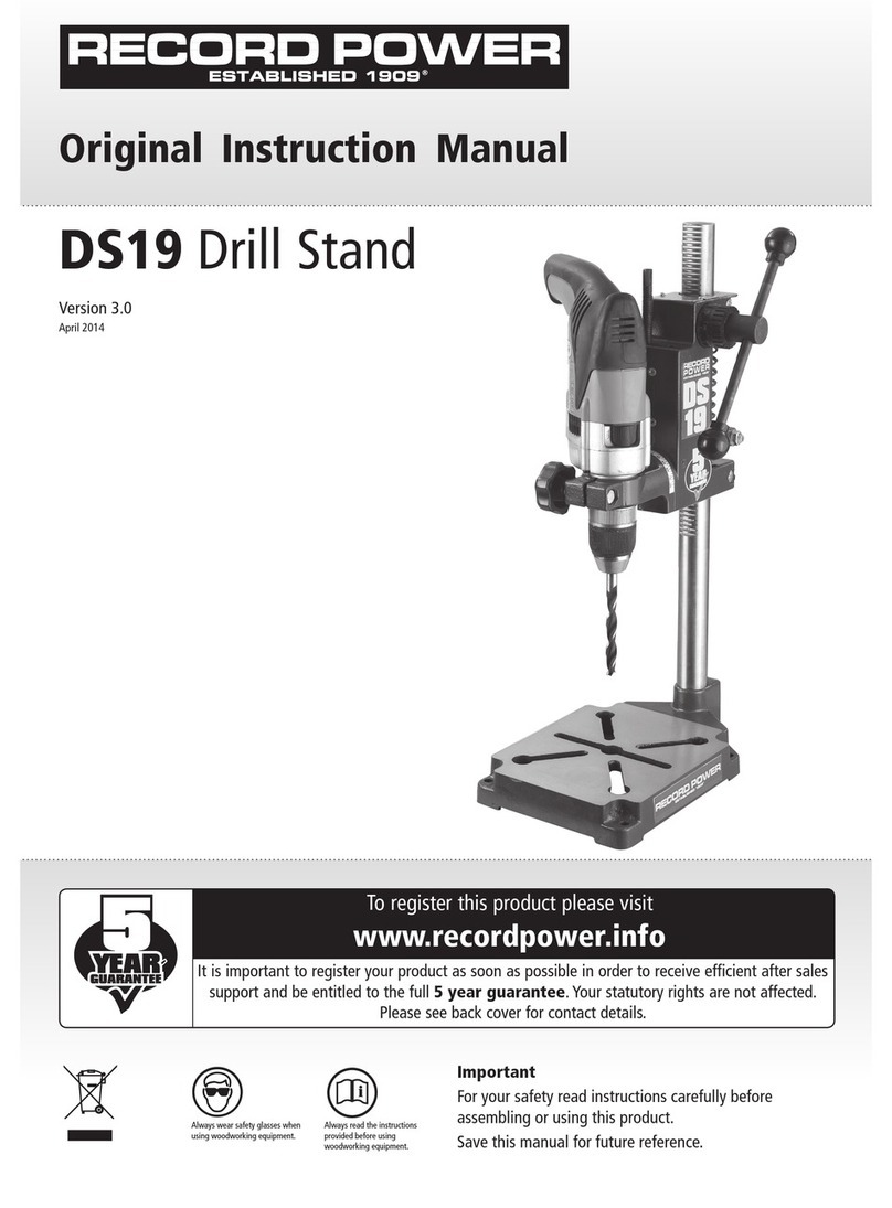 Record Power DS19 User guide