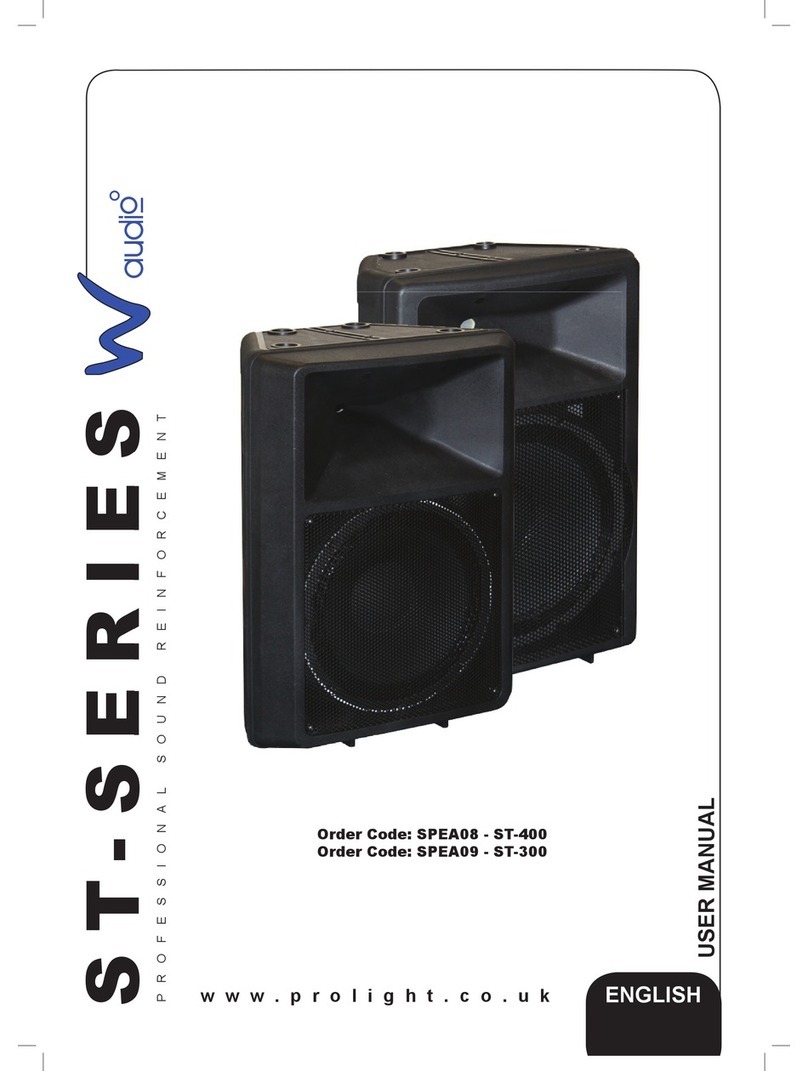 Waudio ST-300 User manual