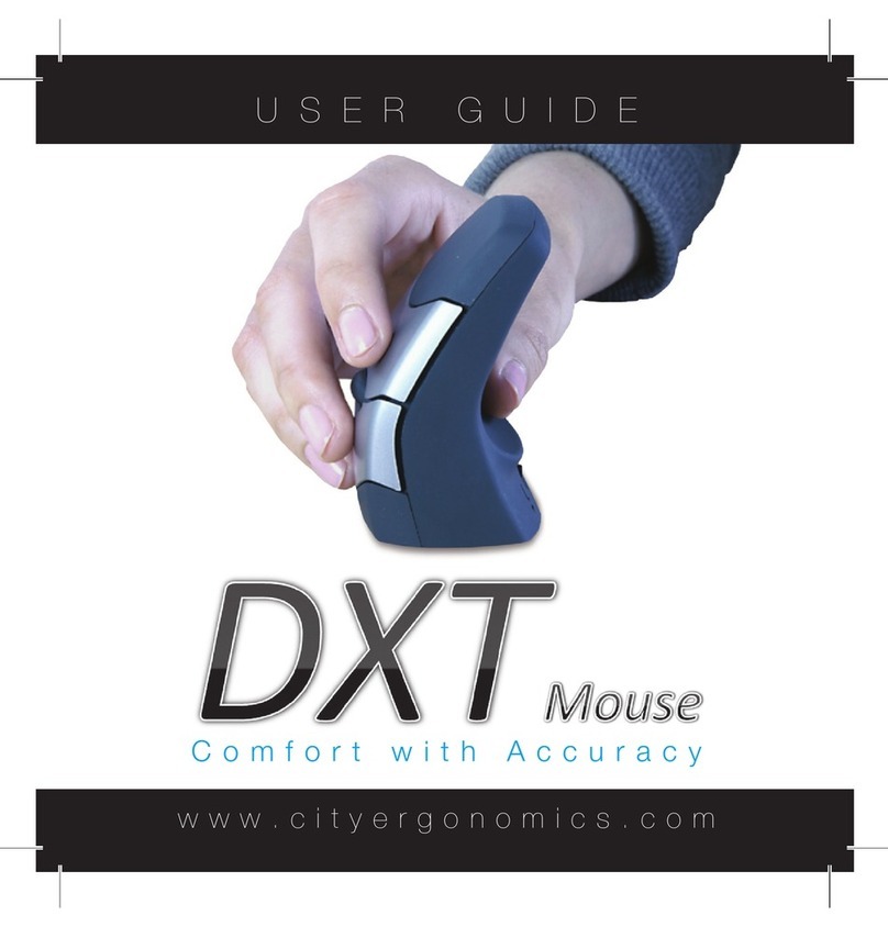 City Ergonomics DXT user guide