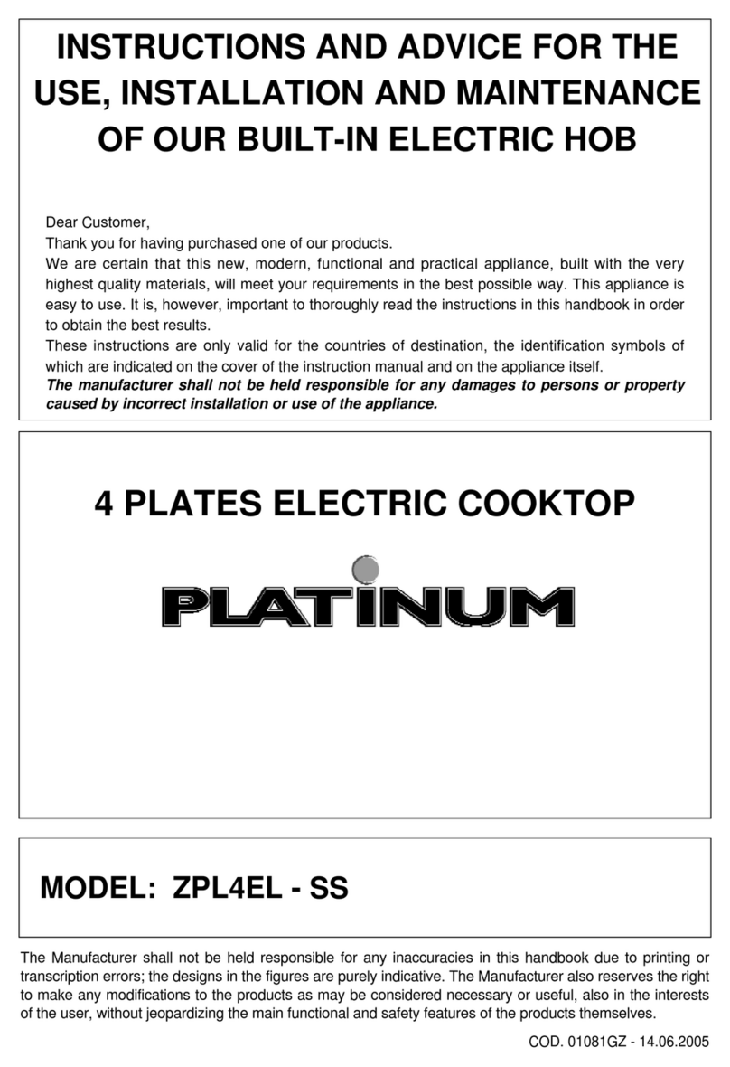 Platinum ZPL4EL - SS Instructions and advice for the use, installation and maintenance