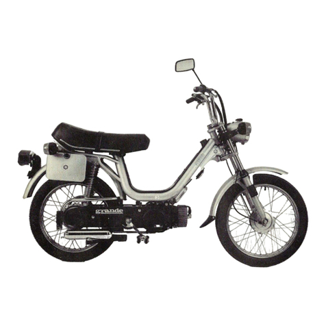PIAGGIO Vespa Grande Use & maintenance manual