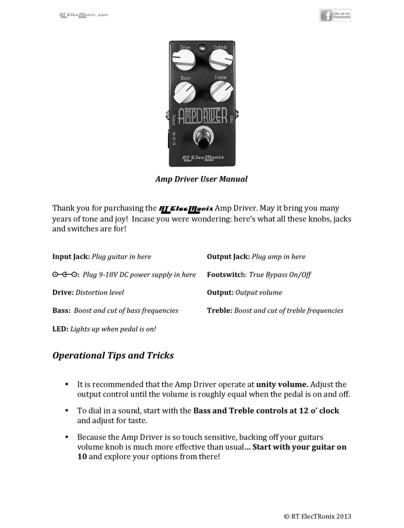 rtelectronix Amp Driver User manual