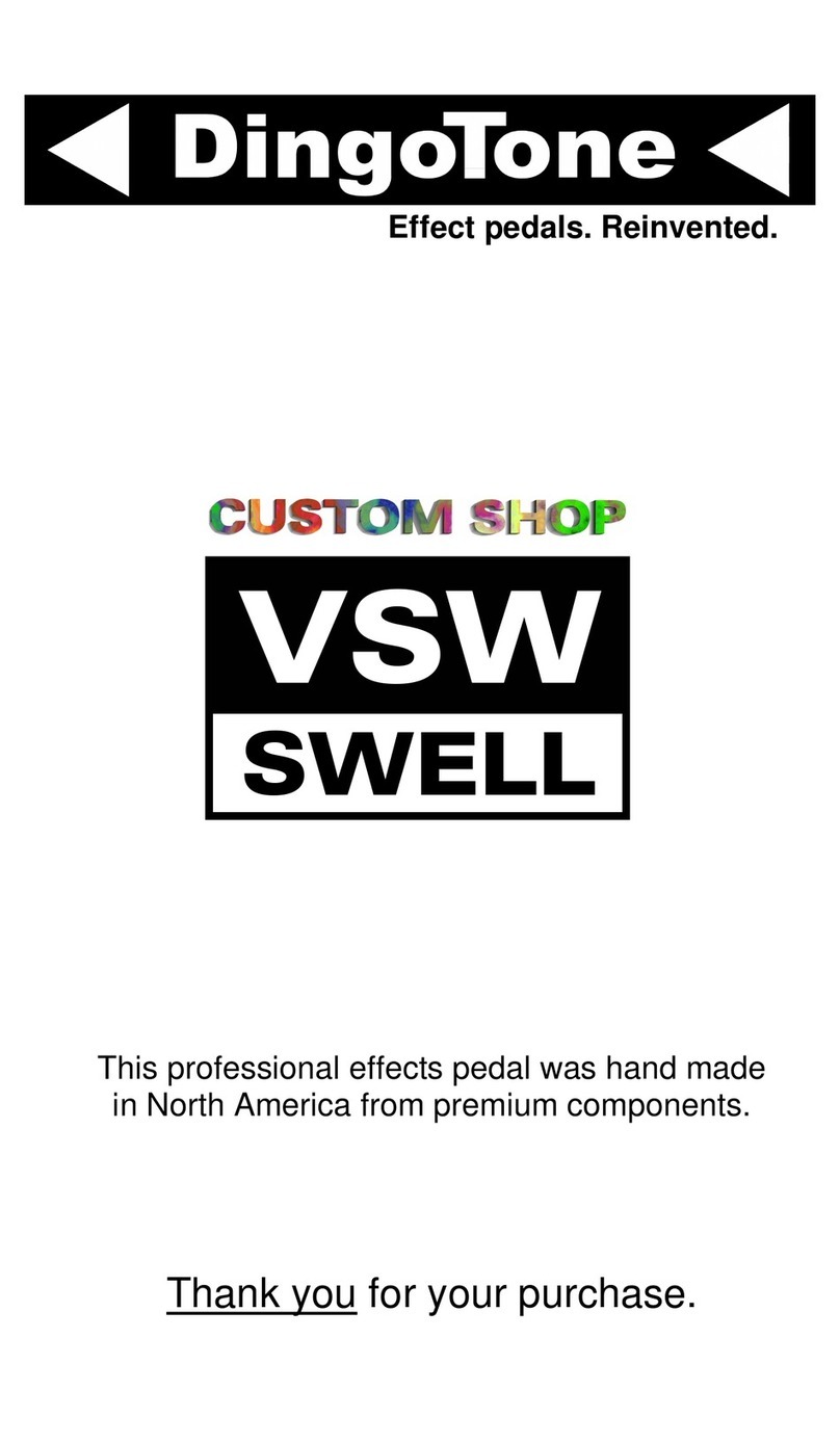DingoTone VSW Swell Guide