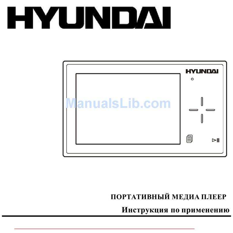 Hyundai H-F2010 instruction manual