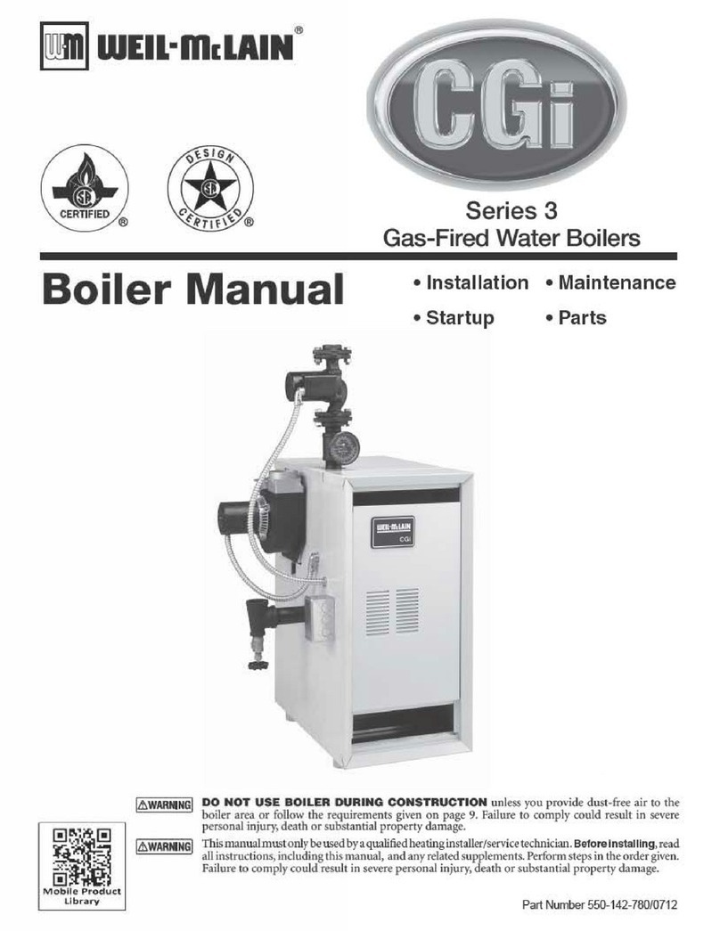 Weil-McLain CGi manual