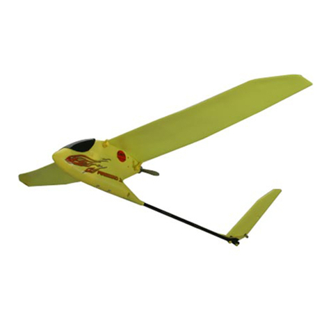 HobbyZone Firebird II st User manual