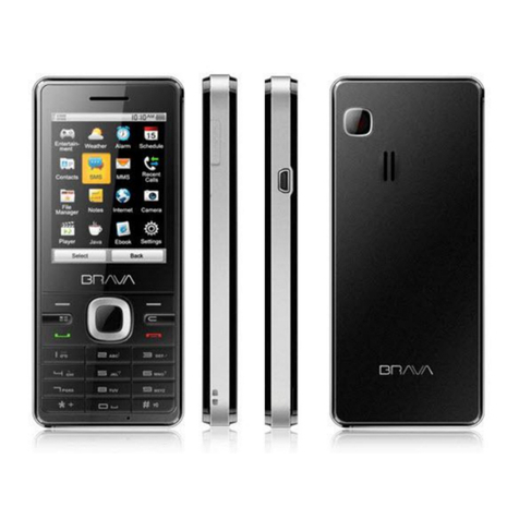 Brava E-SOLO CS-585 User manual Brava E-SOLO CS-585 User manual