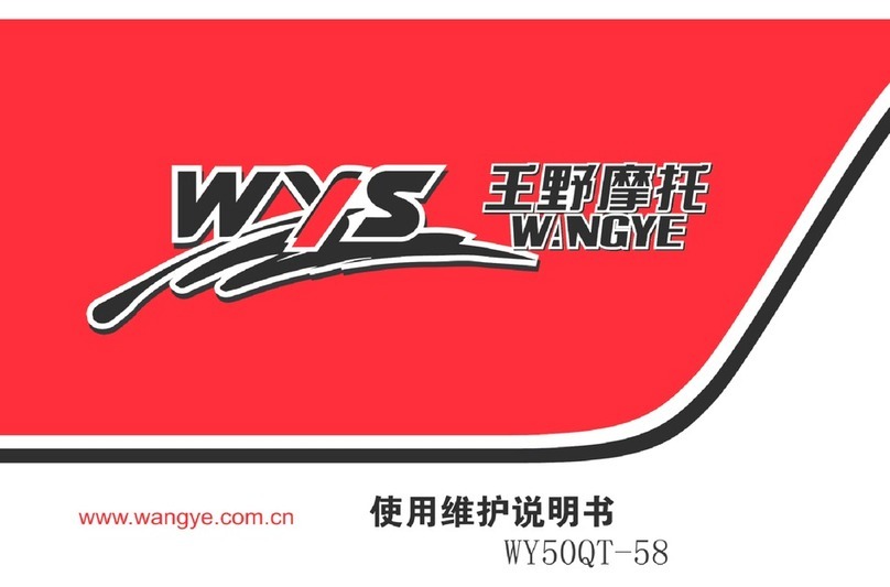 WangYe WY50QT-58 user manual