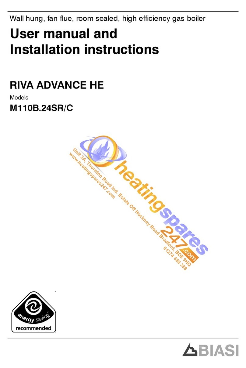 Biasi RIVA ADVANCE HE M110B.24SR User manual