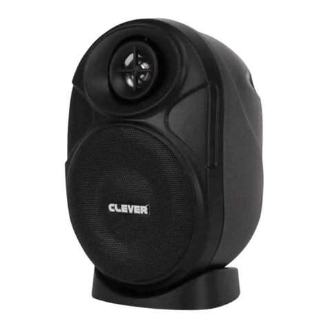 Clever Acoustics BGS 20T 100V/8? user manual
