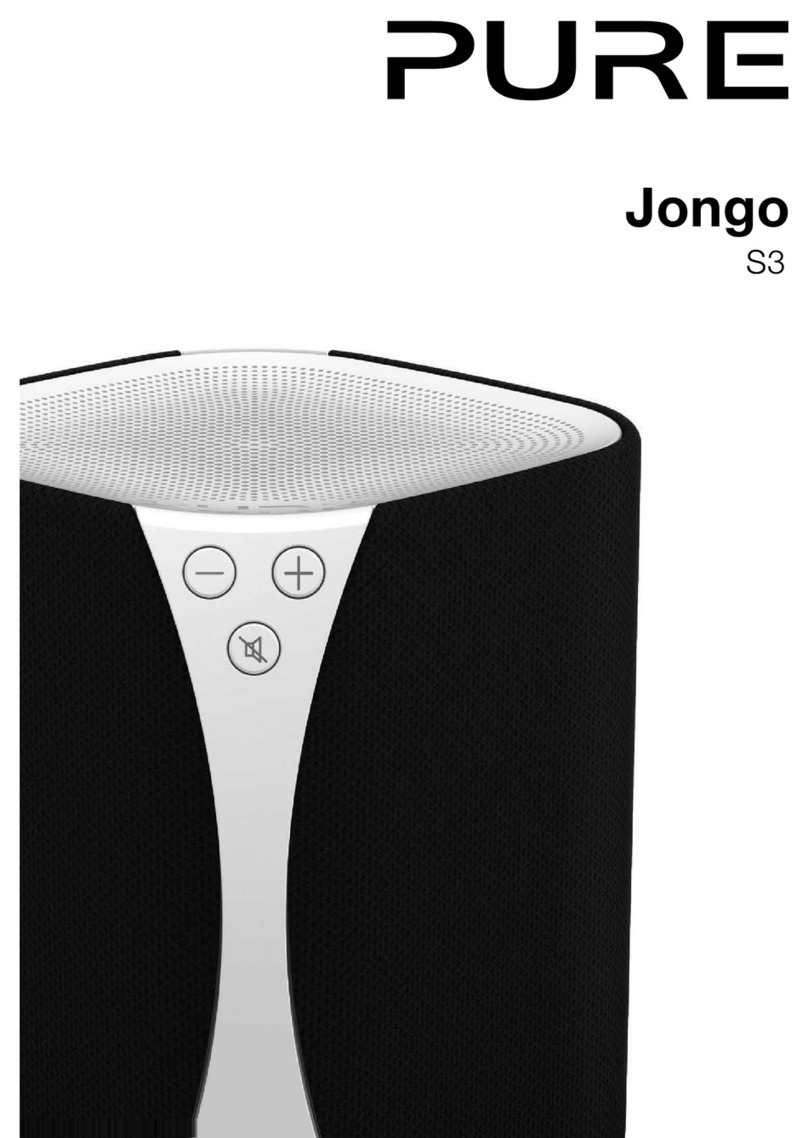 PURE Jongo S3 User manual