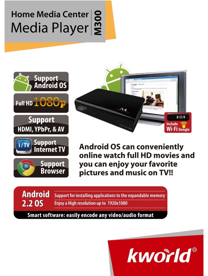 KWorld M300 user guide