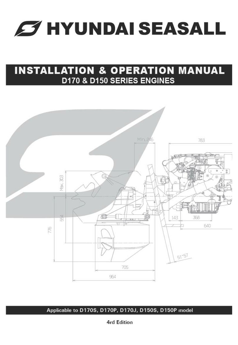Hyundai Seasall D170s User manual