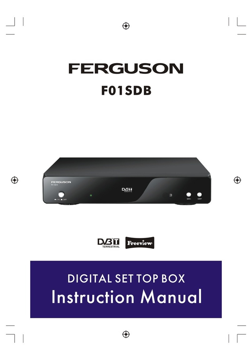 Ferguson F01SDB User manual