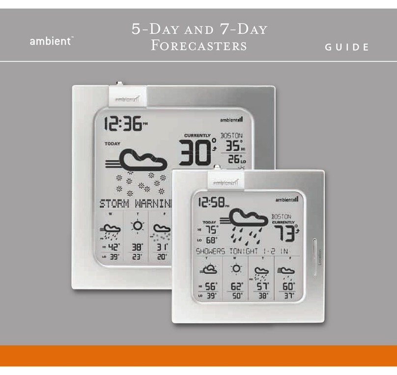 Ambient 5-Day Guide