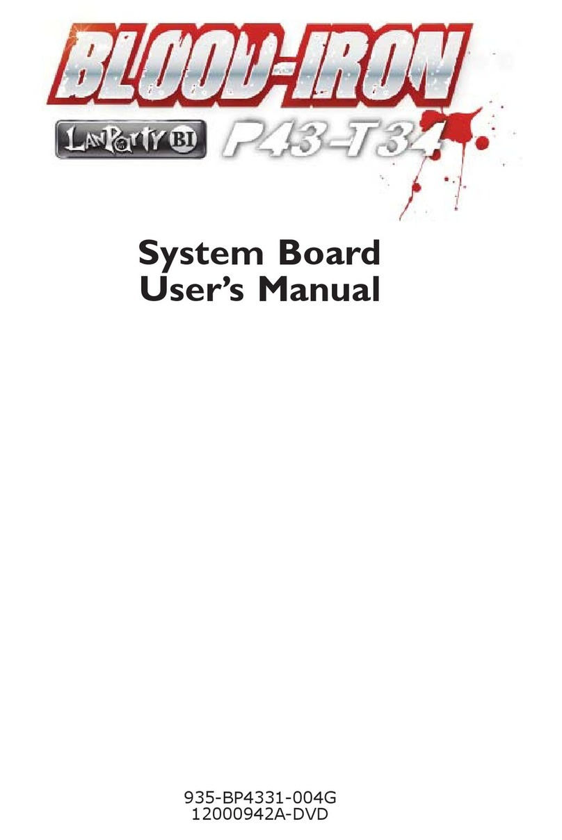 DFI Blood-Iron P43-T34 User manual
