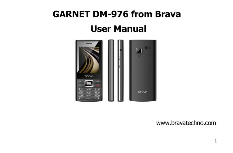 Brava GARNET DM-976 User manual Brava GARNET DM-976 User manual